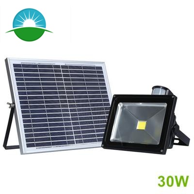 Projecteur solaire LED 10-30W
