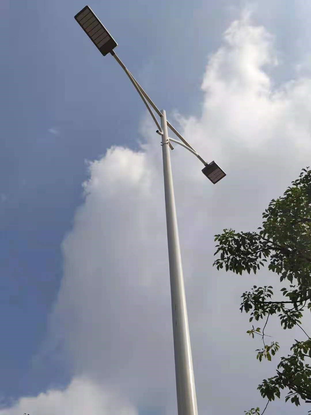 Projet de lampadaire à module LED 450W
